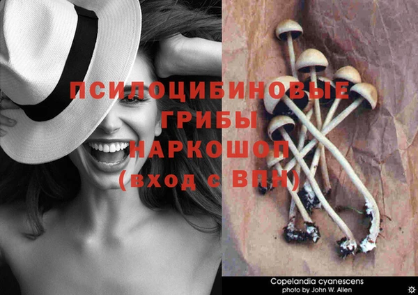 герыч Балахна