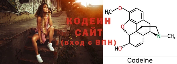 прущие грибы Осташков
