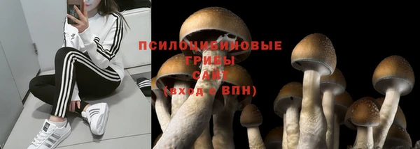 дживик Баксан